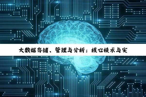 大数据存储、管理与分析：核心技术与实践深度剖析